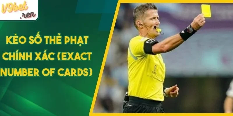 Một vài bí quyết gia tăng tỷ lệ chiến thắng khi cá cược