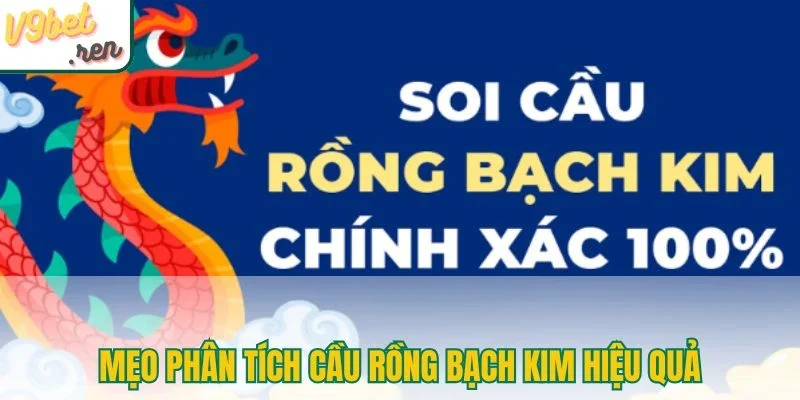 Mẹo phân tích cầu rồng bạch kim hiệu quả